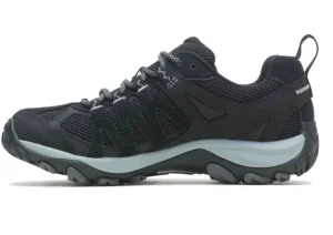 Accentor 3 Black