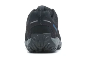 Accentor 3 Black