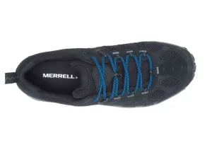 Accentor 3 Black