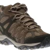 Accentor 3 M Brindle
