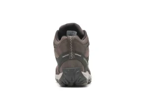 Accentor 3 M Brindle