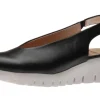 C33152 Negro