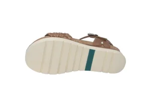 Clea 16 Camel