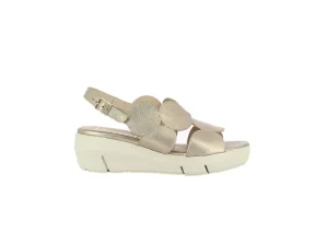 D8210 Glow Platino