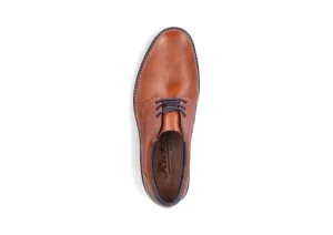 Dress Lace Brown