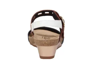 Dynasty Chestnut W