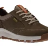 Glastonbury Olive