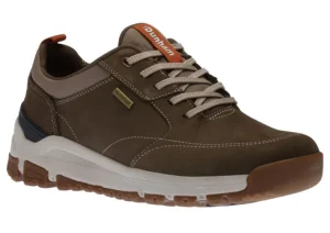 Glastonbury Olive