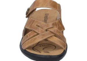 Ibiza 99 Camel