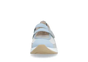 Morelia Aqua