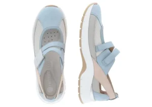 Morelia Aqua