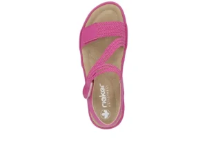 Nabukino Fuchsia