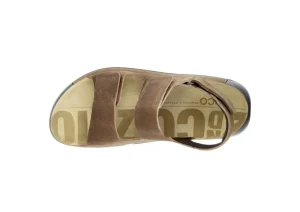 2nd Cozmo M Cocoa
