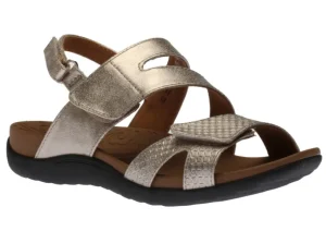 Ridge Asym Metallic