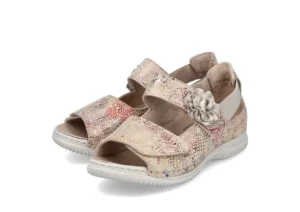 Scamo Beige Multi