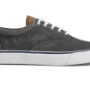 Striper II CVO Black Canvas Lace-Up Sneaker