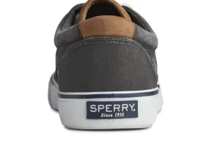 Striper II CVO Black Canvas Lace-Up Sneaker