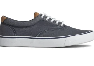 Striper II CVO Navy Canvas Lace-Up Sneaker