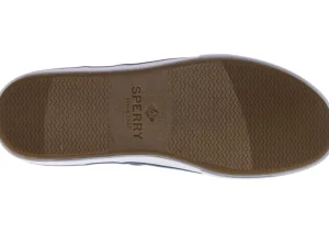 Striper II CVO Salt Washed Black Canvas Lace-Up Sneaker