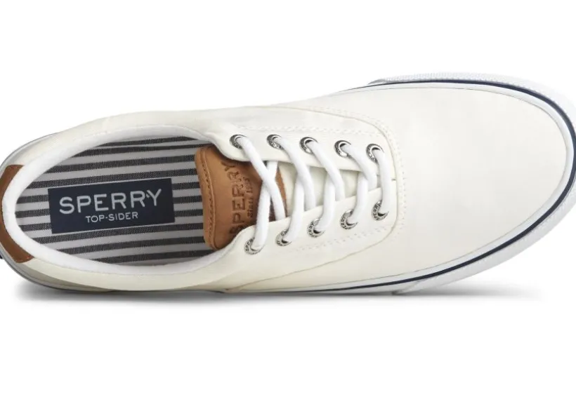 striper_ii_cvo_white_canv_0.webp Striper II CVO White Canvas Lace-Up Sneaker