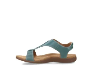 The Show Teal