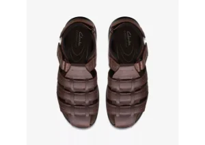 Walkford Fish Brown