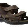 Walkford Walk Brown