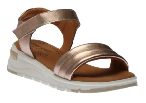 Willa 01 Rose Gold