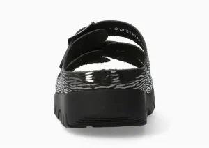 Zach Zebra Black Slide Sandal