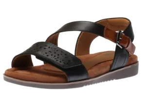 Zion 2 Black